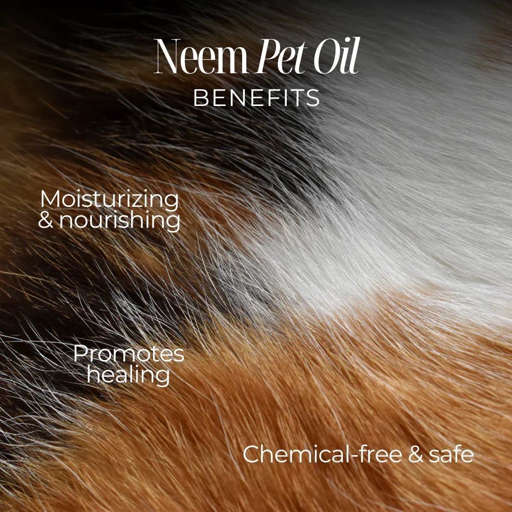 Pet Oil Neem