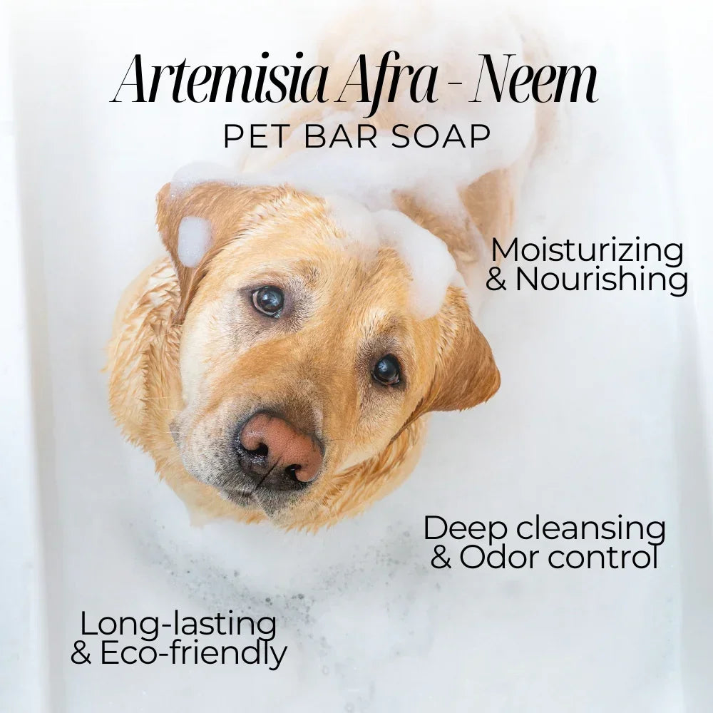 Neem - Artemisia Afra