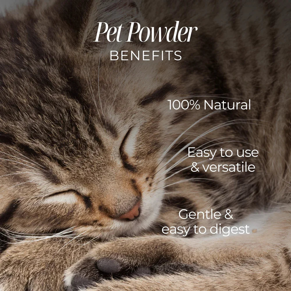 Pet Powder | Artemisia Annua