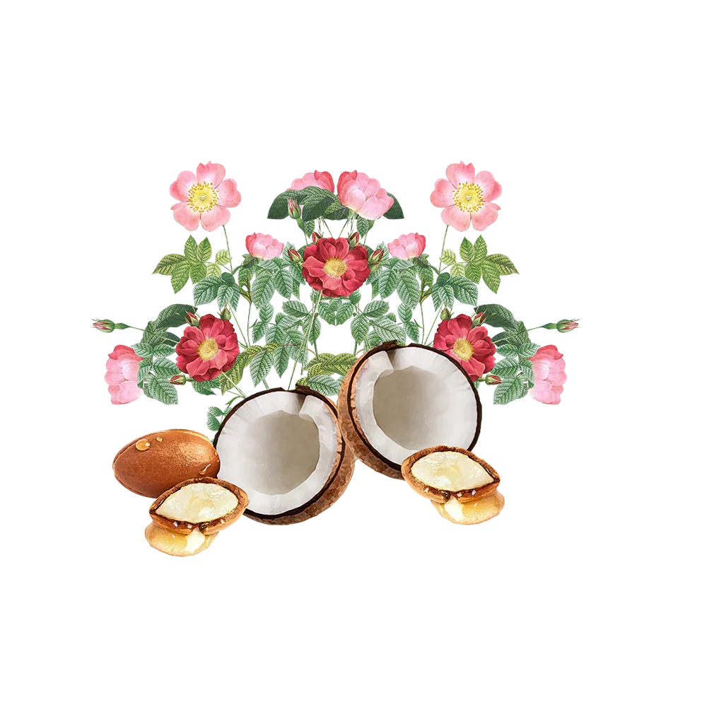 Coconut halves and pink roses with green leaves for natural skincare ingredients