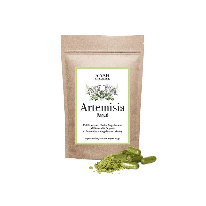 Artemisia-Annua Products to shop for wellness - Siyah Organics