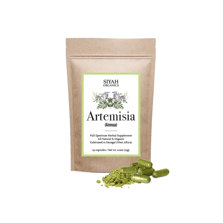 Artemisia-Annua Products to shop for wellness - Siyah Organics