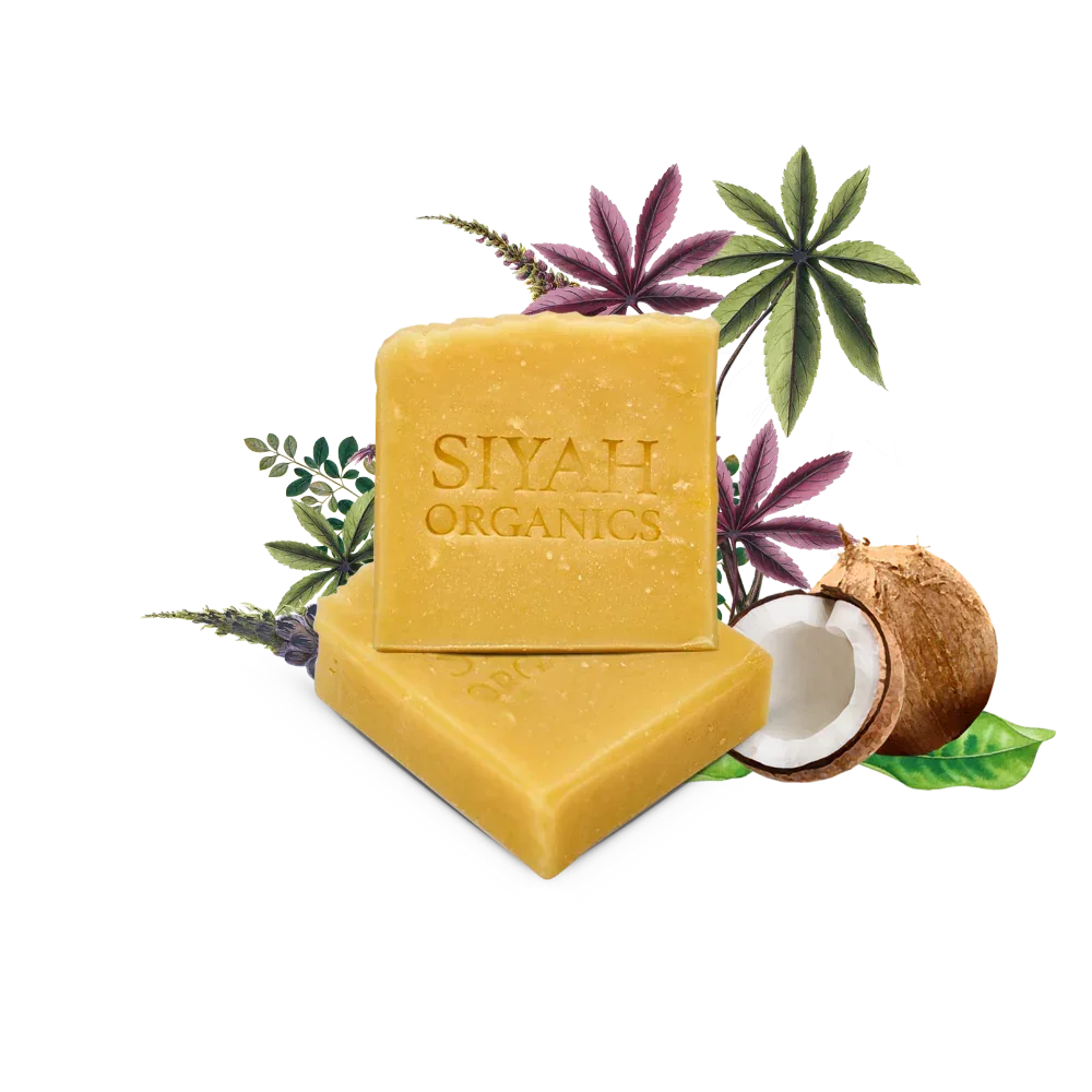 All-Hair Types Shampoo Bar | Coco - Moringa