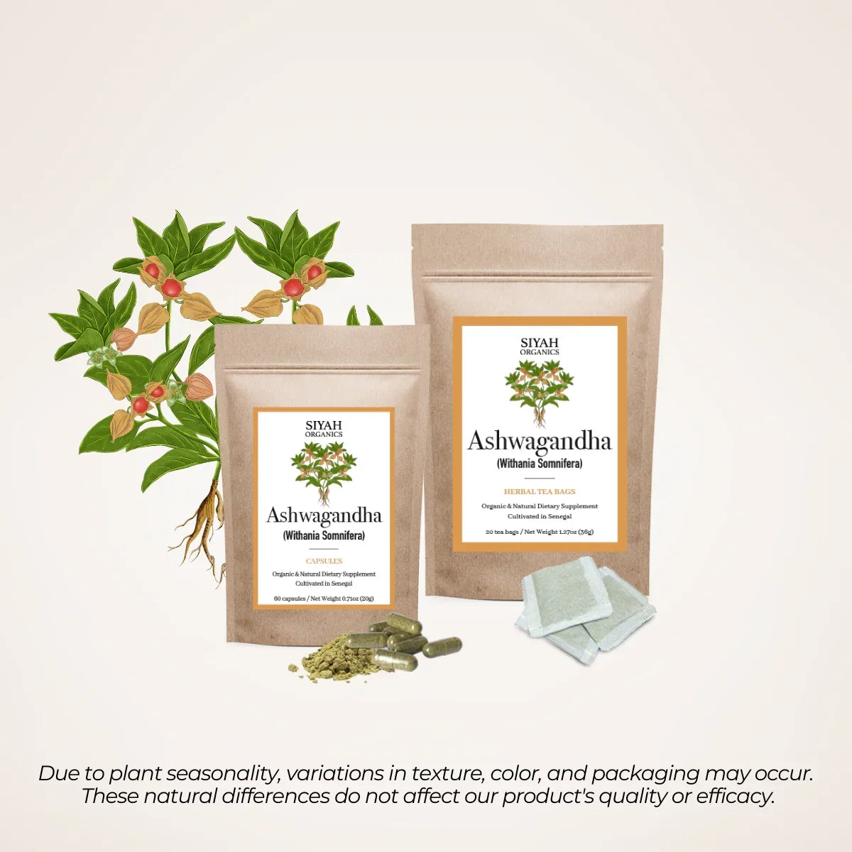 Ashwagandha capsules and herbal tea bags, organic natural dietary supplements with plant illustration