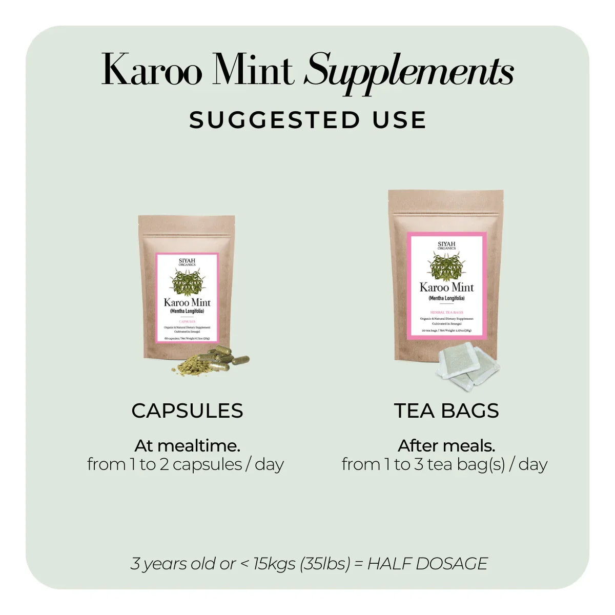Karoo Mint