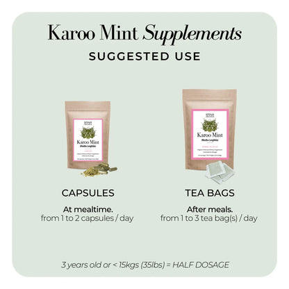 Karoo Mint
