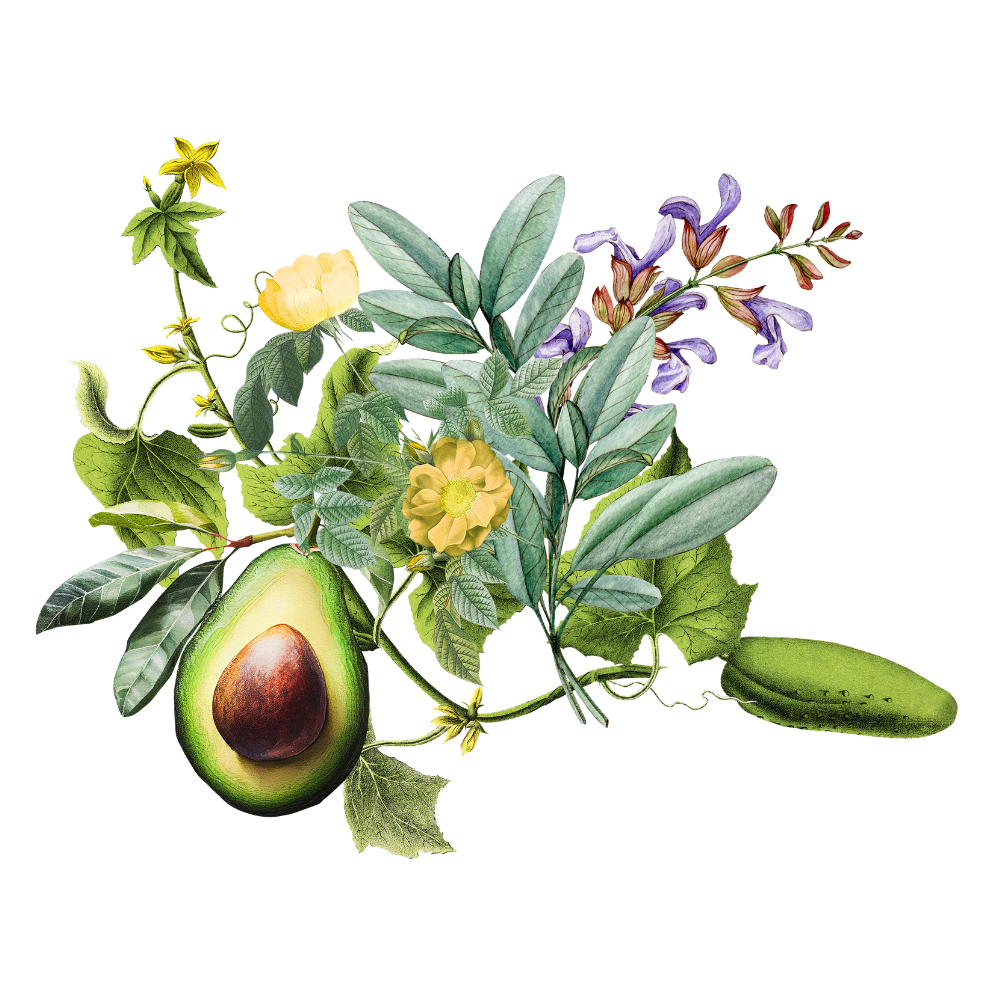 Rose - Cucumber - Avocado