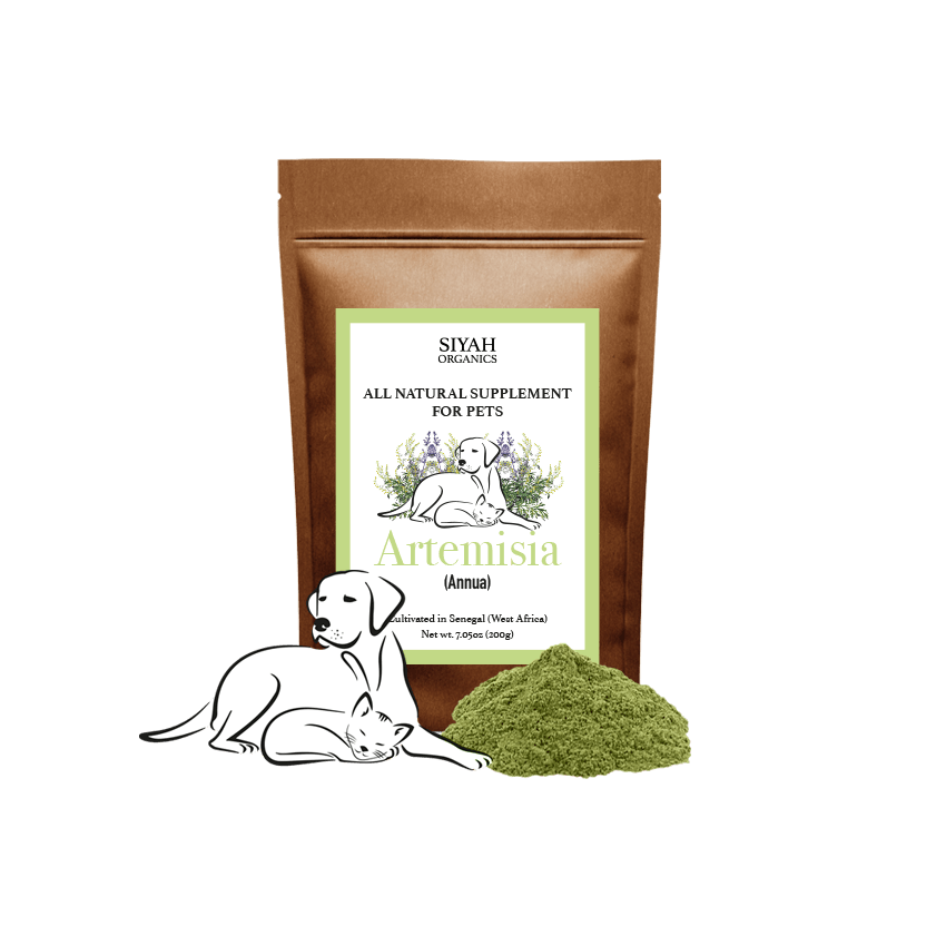 Artemisia-Annua Powder for Pets - Siyah Organics